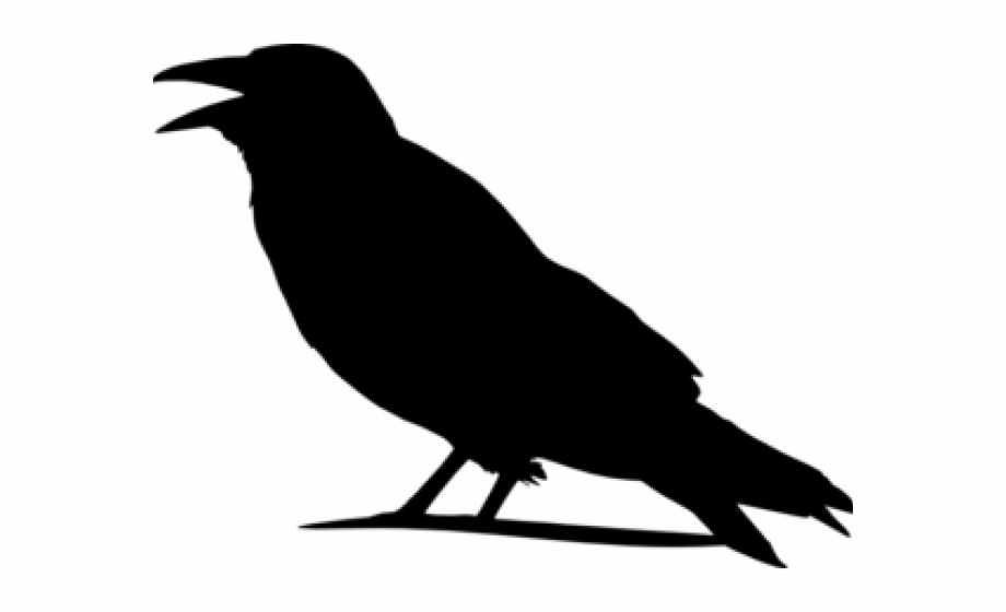 Raven Outline Cliparts Outline Picture Of Crow