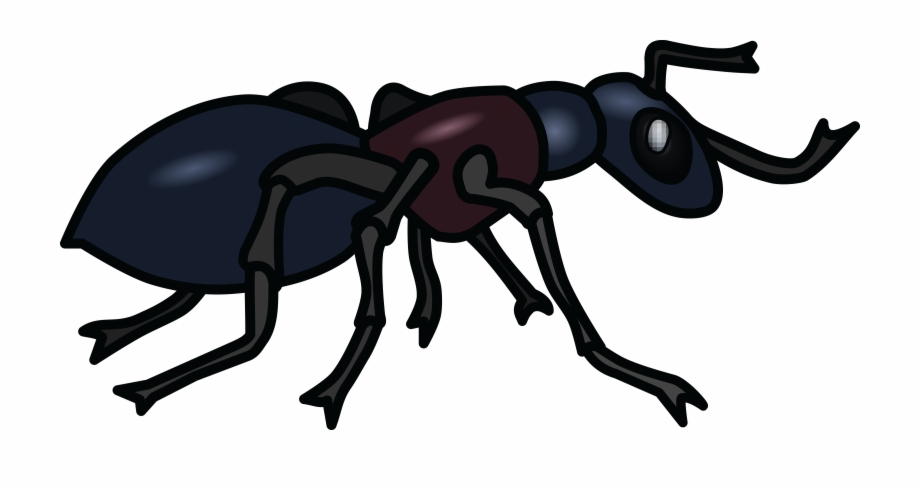 Free Of An Ant Black And White Clipart