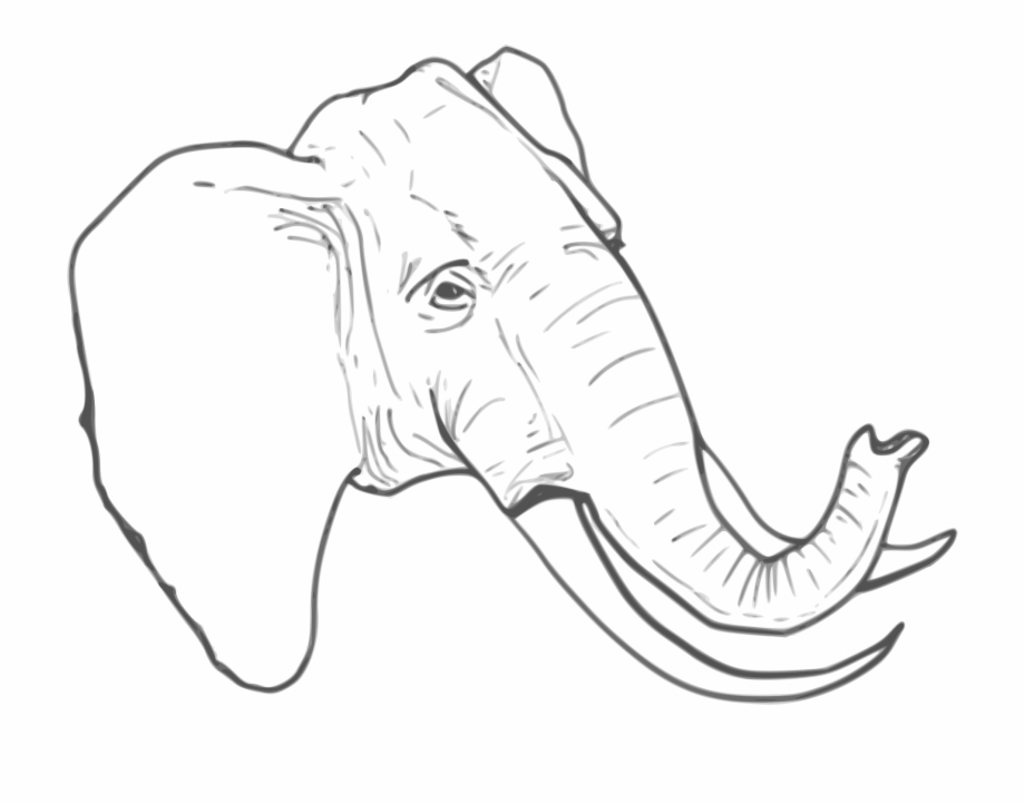 Line Drawing Png Elephant Head Line Drawings