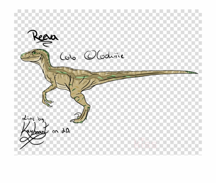 Velociraptor Clipart Velociraptor Majungasaurus Carnotaurus Wwe Intercontinental Us