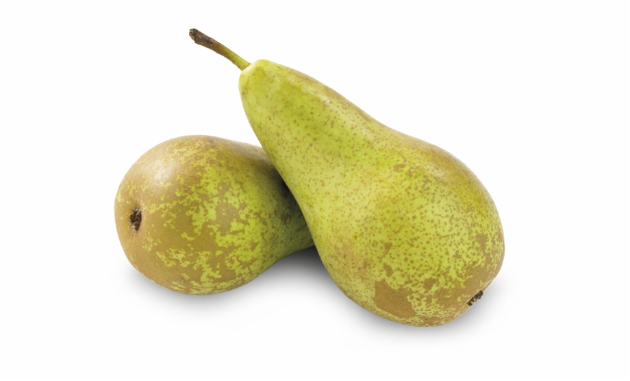 Alegria Fruit Pears Conference Conference Pear Png