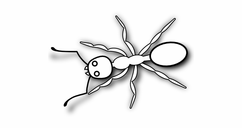 Ant Clipart Black And White Png Ant Images