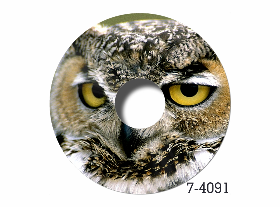 4091 Great Horned Owl Memes