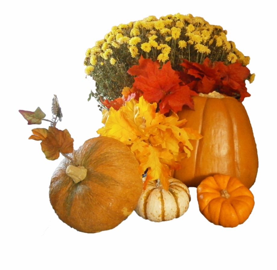 Free Thanksgiving Day Png Images Thankful Pumpkin Transparent