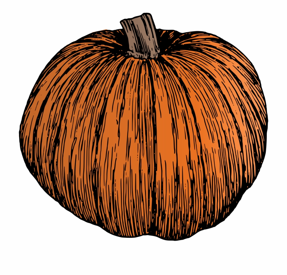pumpkin vector art black and white
