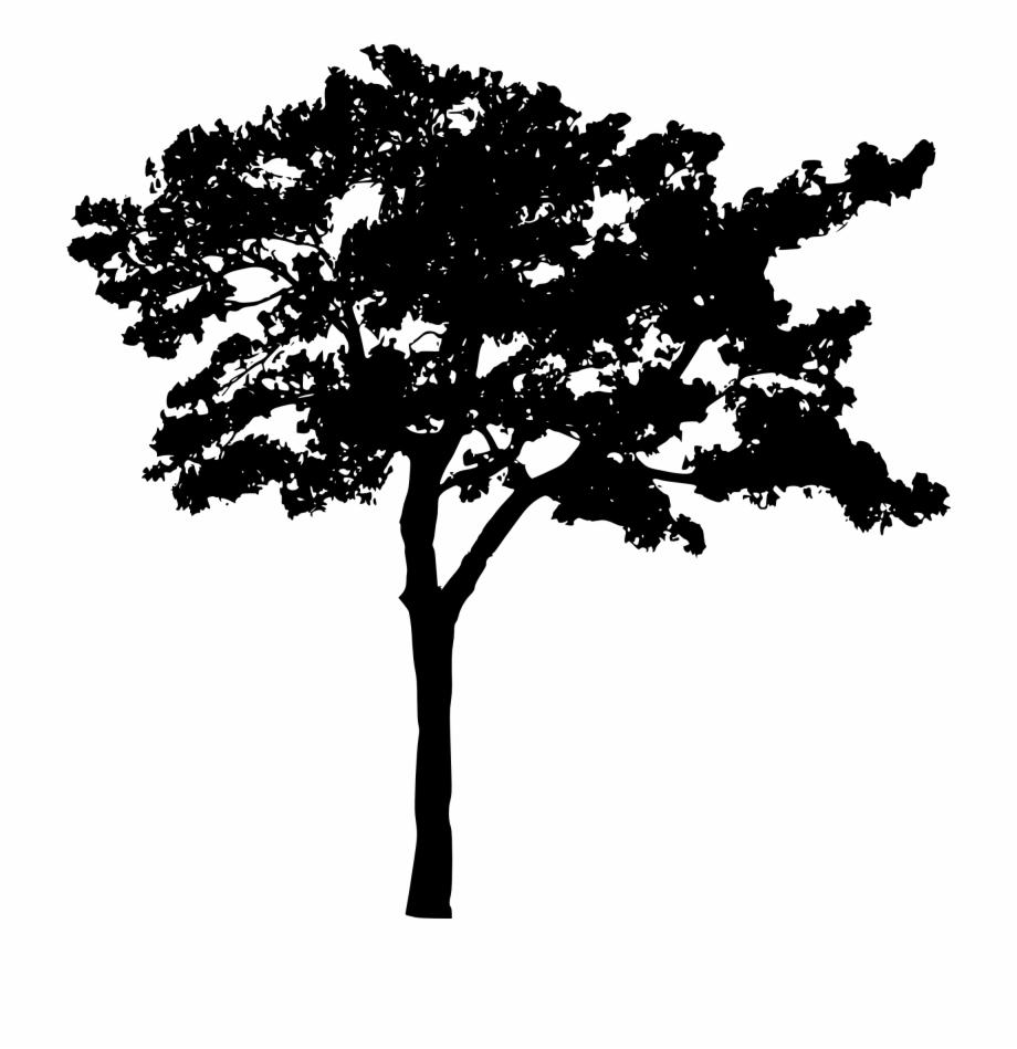 Free Download Tree Silhouette
