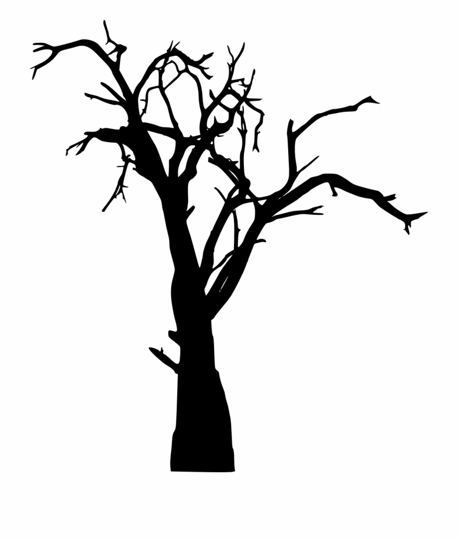 spooky tree silhouette png
