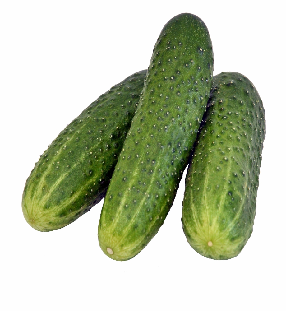 Cucumber Gherkins Png