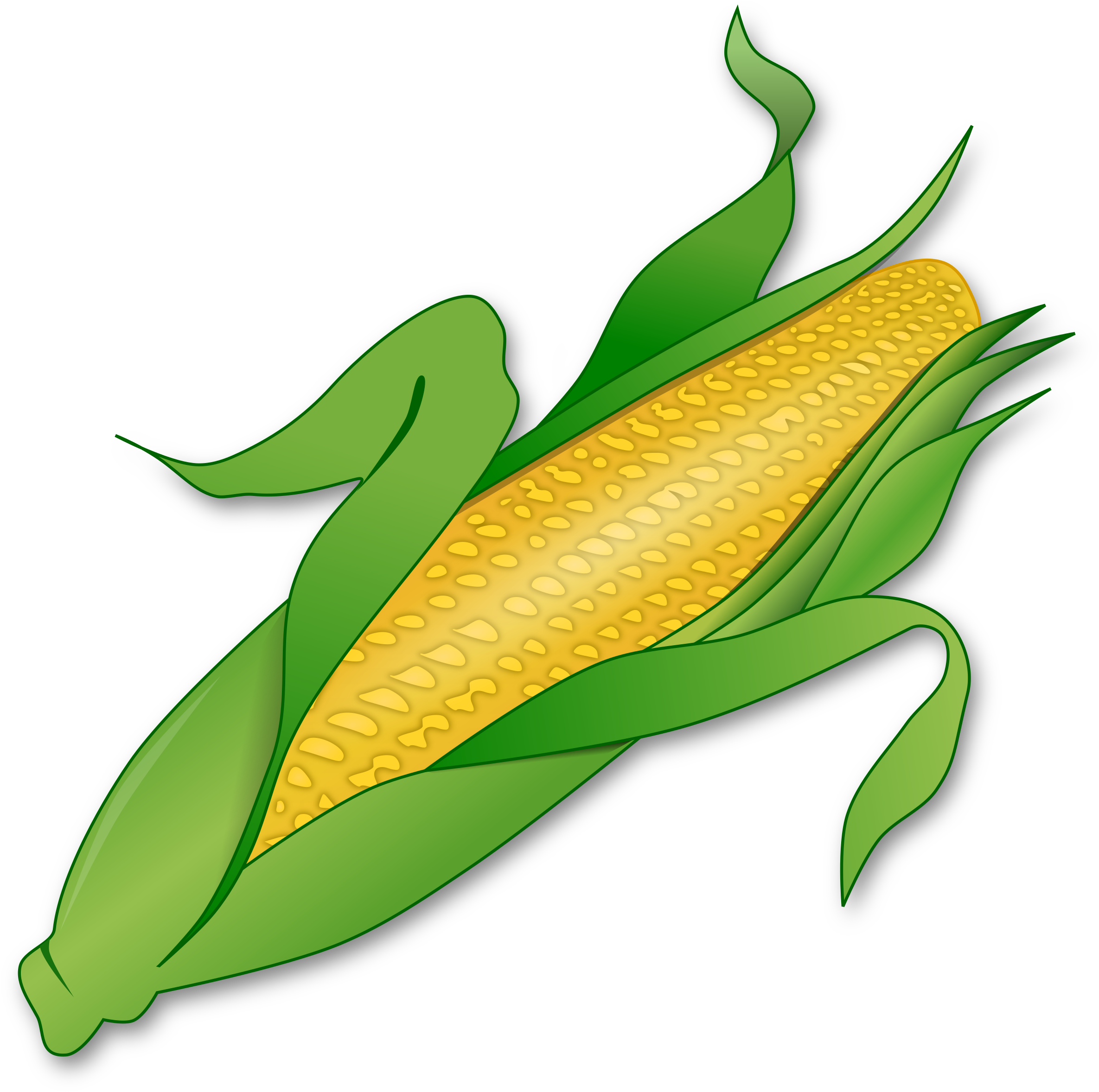 Corn Png Corn Clipart
