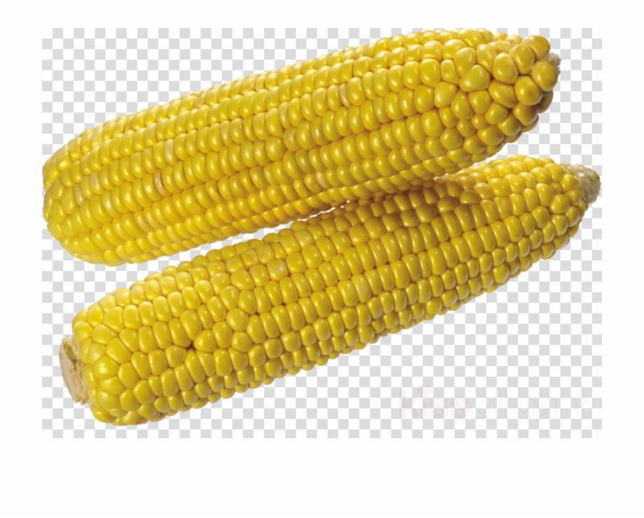 Corn On The Cob Png Clipart Corn On