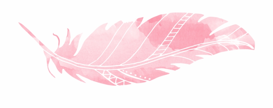 Pink Feathers Png Feathers Pink Png