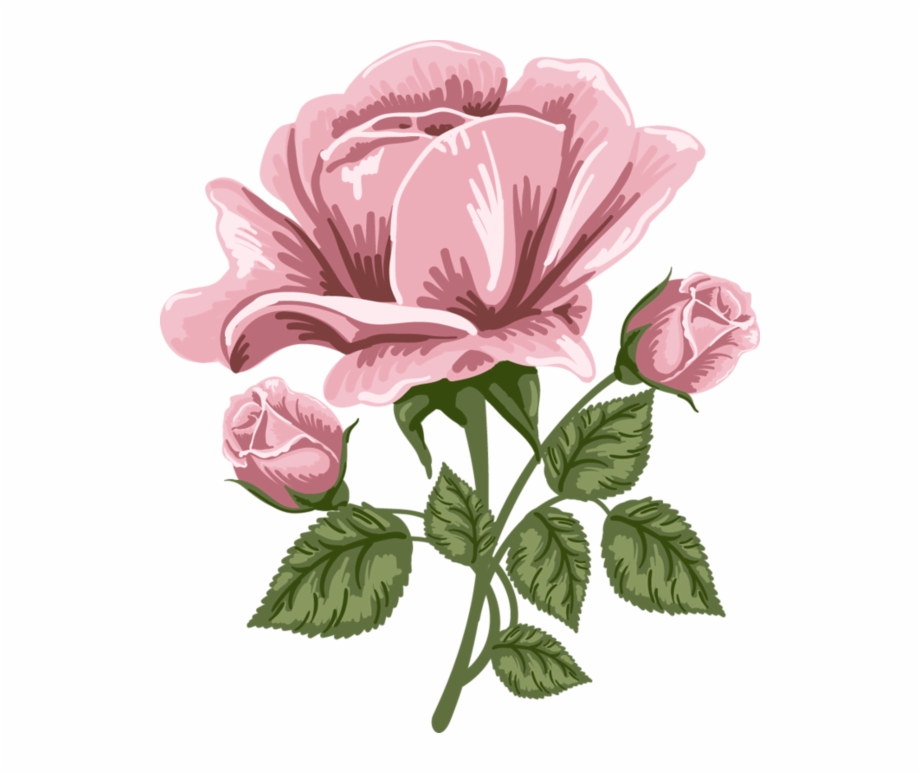 Rose Art Png Pink Rose Art Png