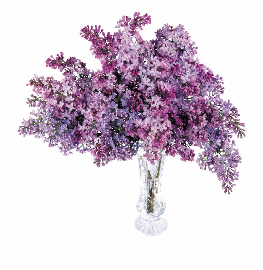 Lilac Flower Png Best Prestashop Themes 2019