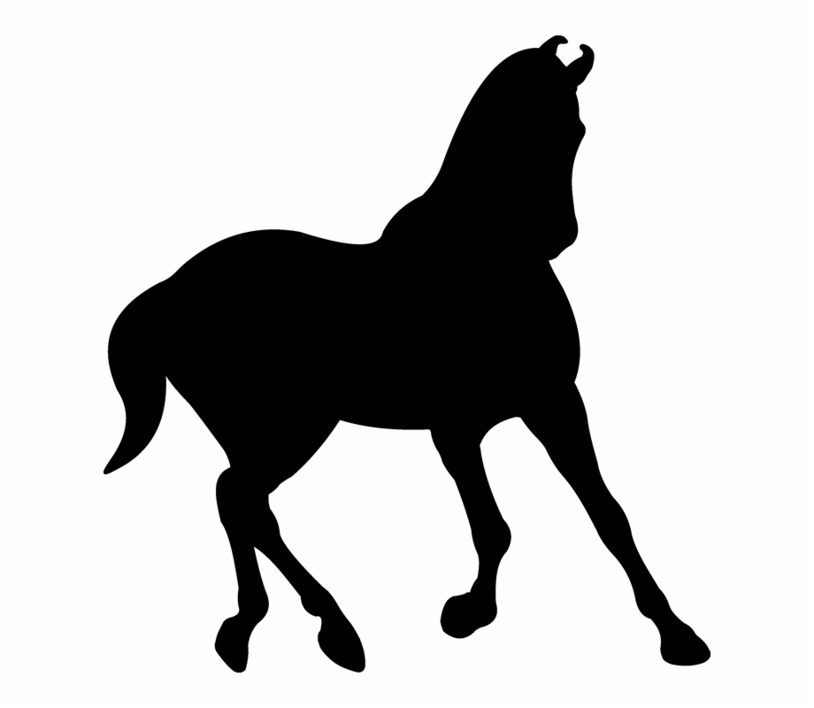 Silhouette Saddle Horse Black Trot Stallion