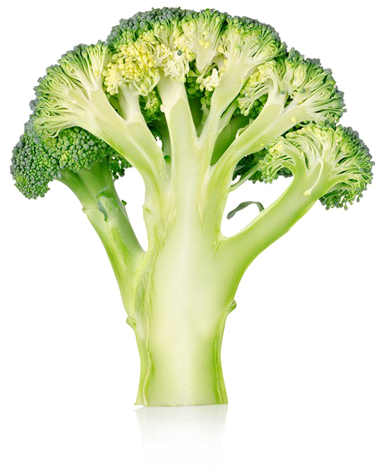transparent background broccoli png
