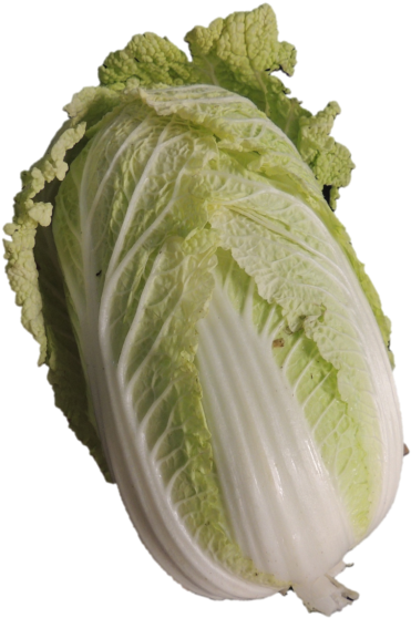 Lettuce Cabbage