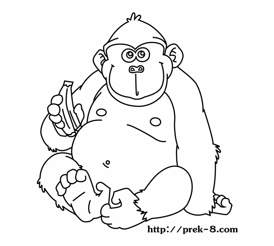 Safari Animal Coloring Pages Jungle Animals For Colouring