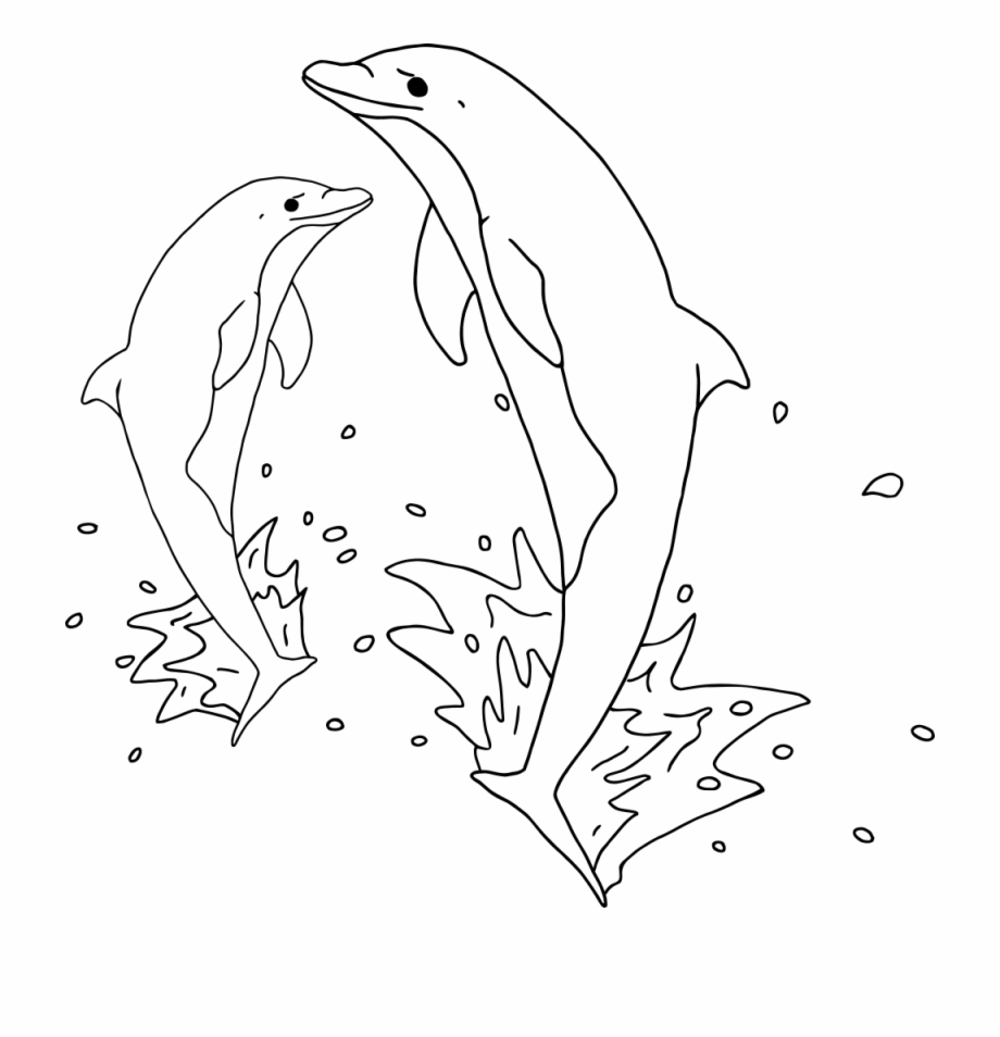 dolphins clipart black and white
