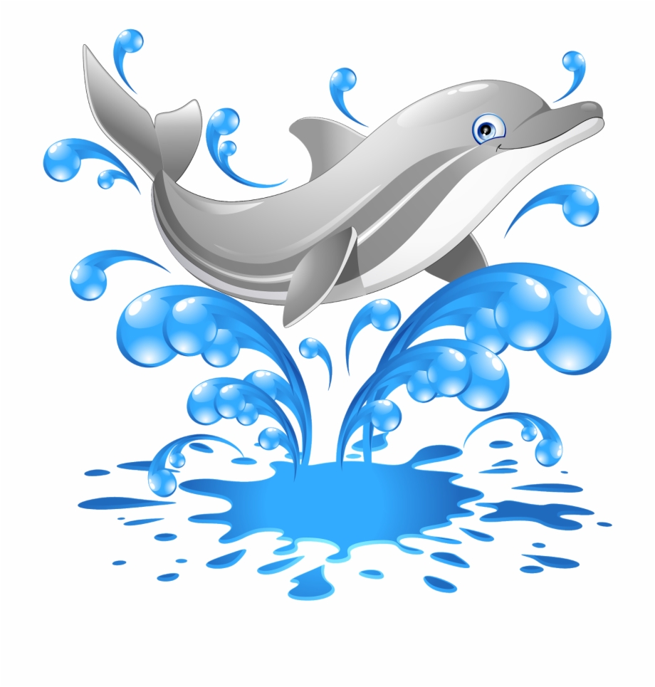 Dolphin Scalable Vector Graphics Clip Art Shutterstock Dolphins
