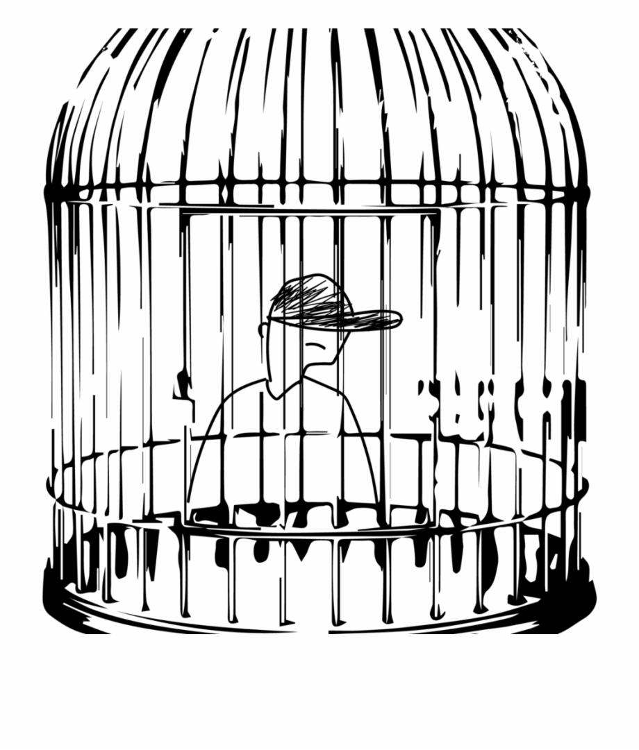 Batting Cage