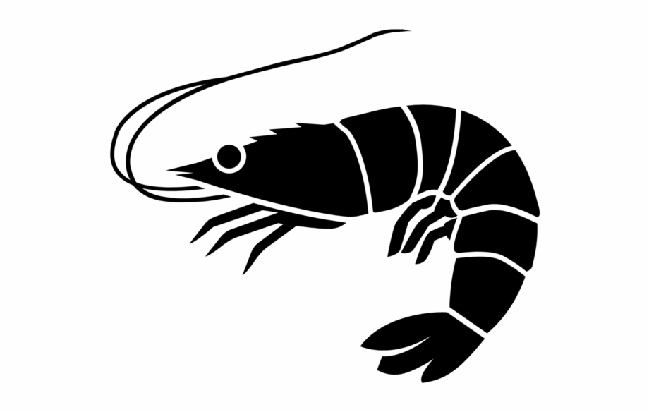 Shrimp Shrimp Icon