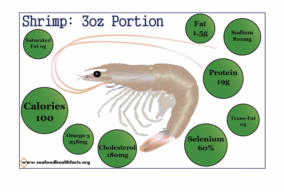 Shrimp Png Cartoon