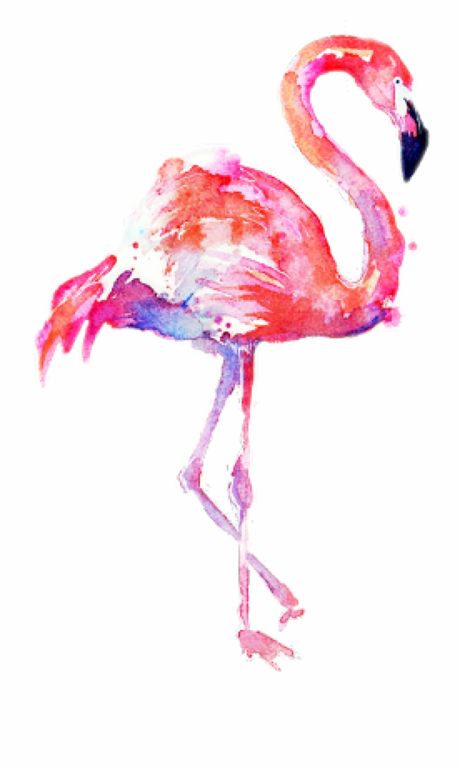 Flamingo Transparent Water Color Transparent Background Flamingo Png