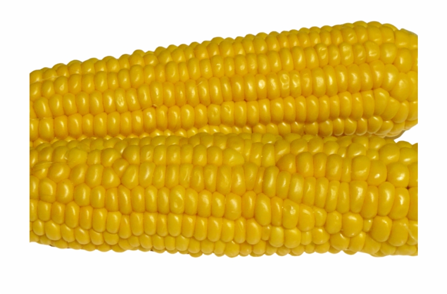 Corn Png Image Maize