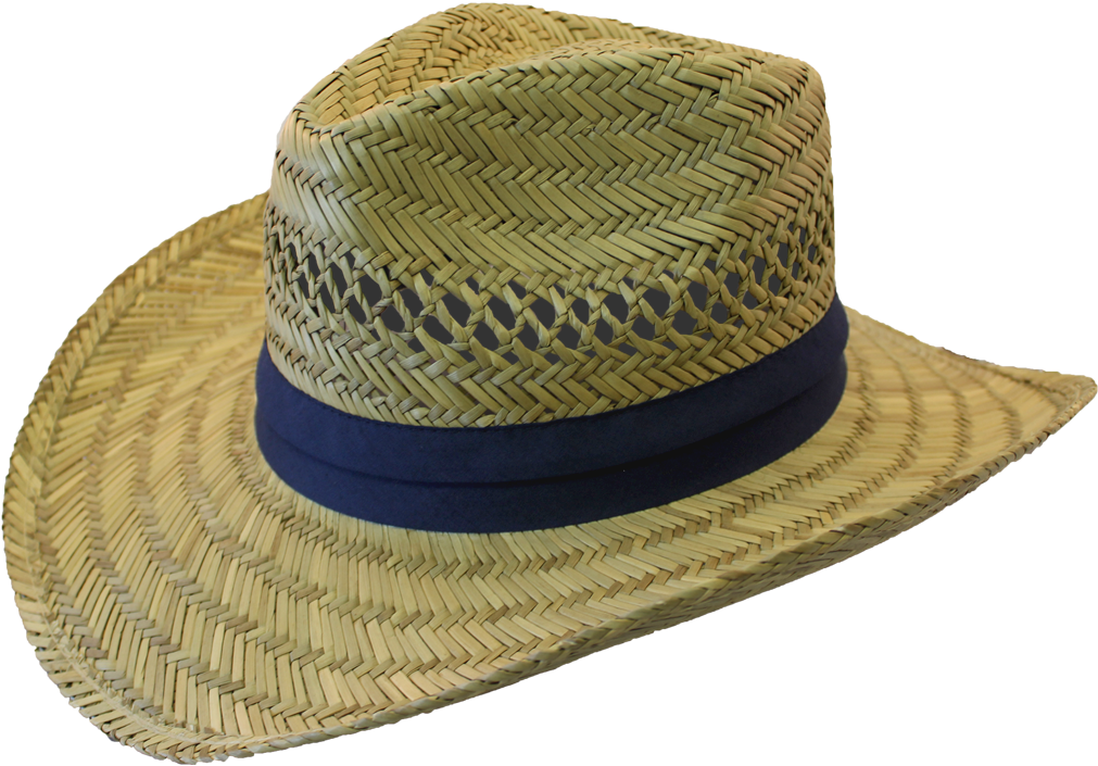 Straw Hat With Navy Band Cowboy Hat