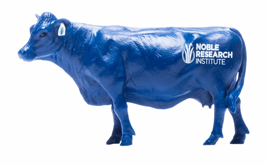 Blue Cow Dairy Cow