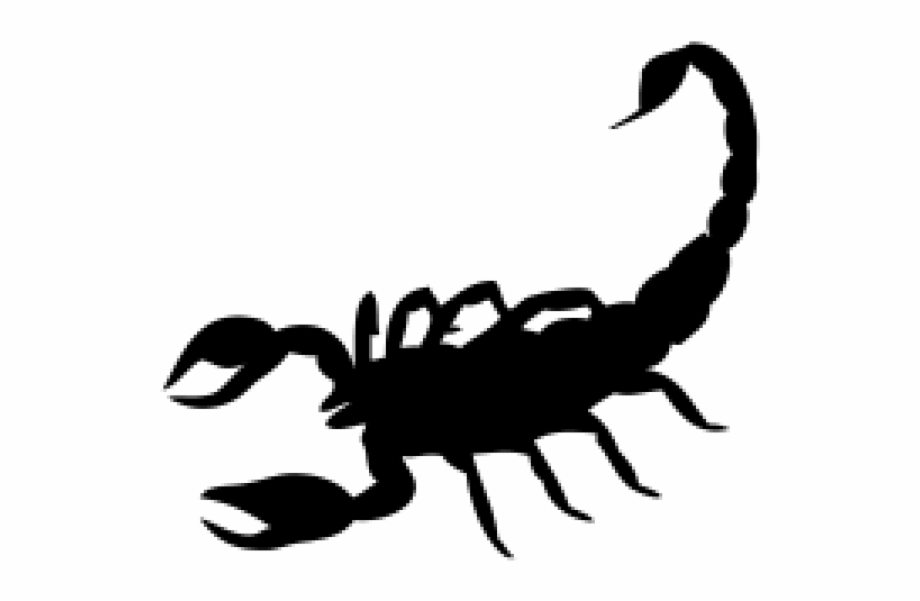 Scorpion Png Free Download Black Scorpion Png
