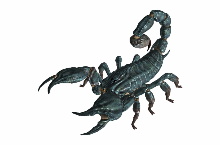 Scorpion Fallout Shelter Radscorpion