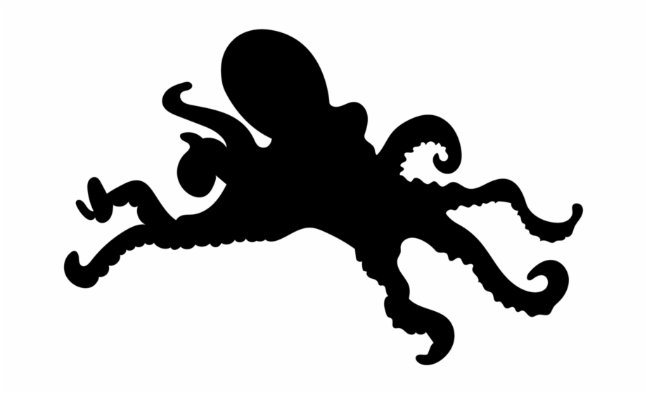 Octopus Sombras De Animales Marinos