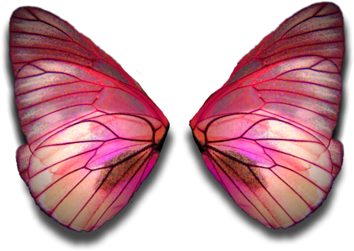 Fairy Wings Butterflywings Fairywings Faerywings Butterfly