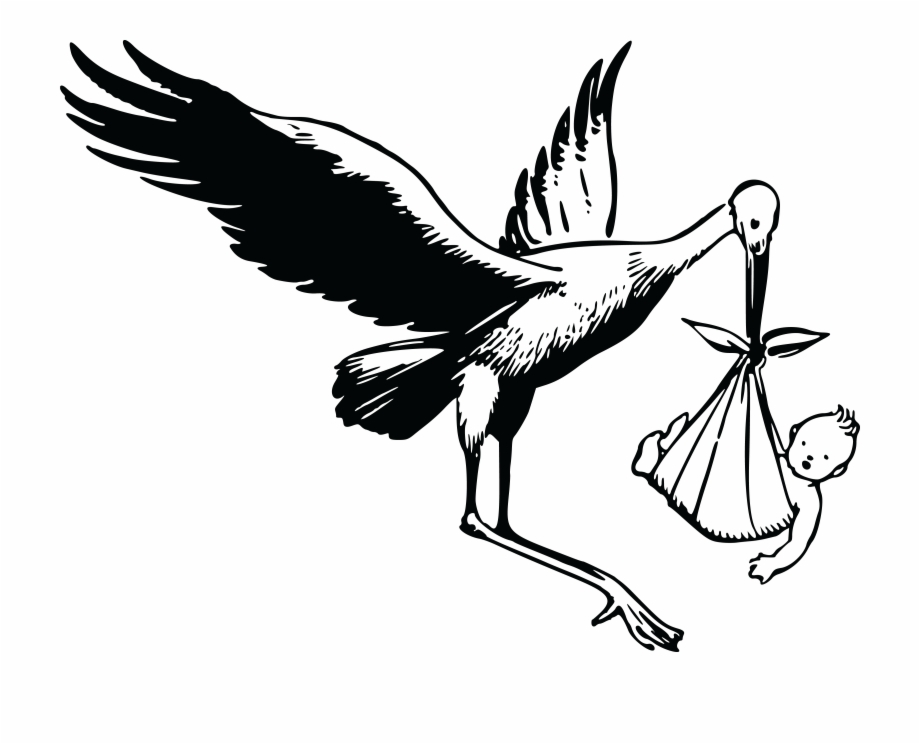 Free Clipart Of A Stork And Baby Stork