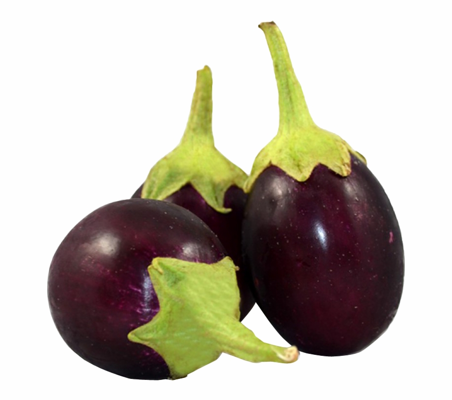 Banner Transparent Library Eggplant Clipart Common Brinjal Png