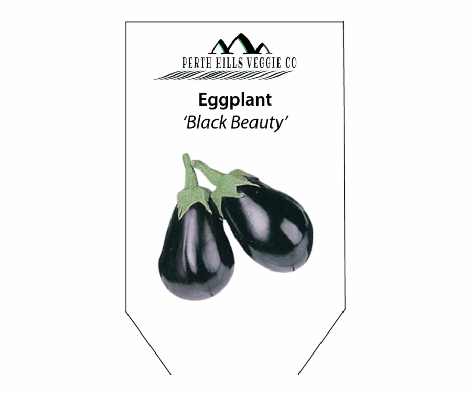 Eggplant Black Beauty Eggplant