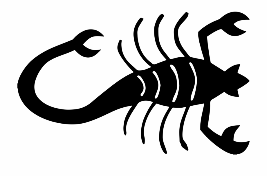 Scorpion Silhouette Computer Icons Pincer Venom Black Scorpion