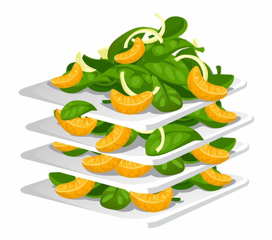 Salad Clip Art Clipart Myth Vs Fact About
