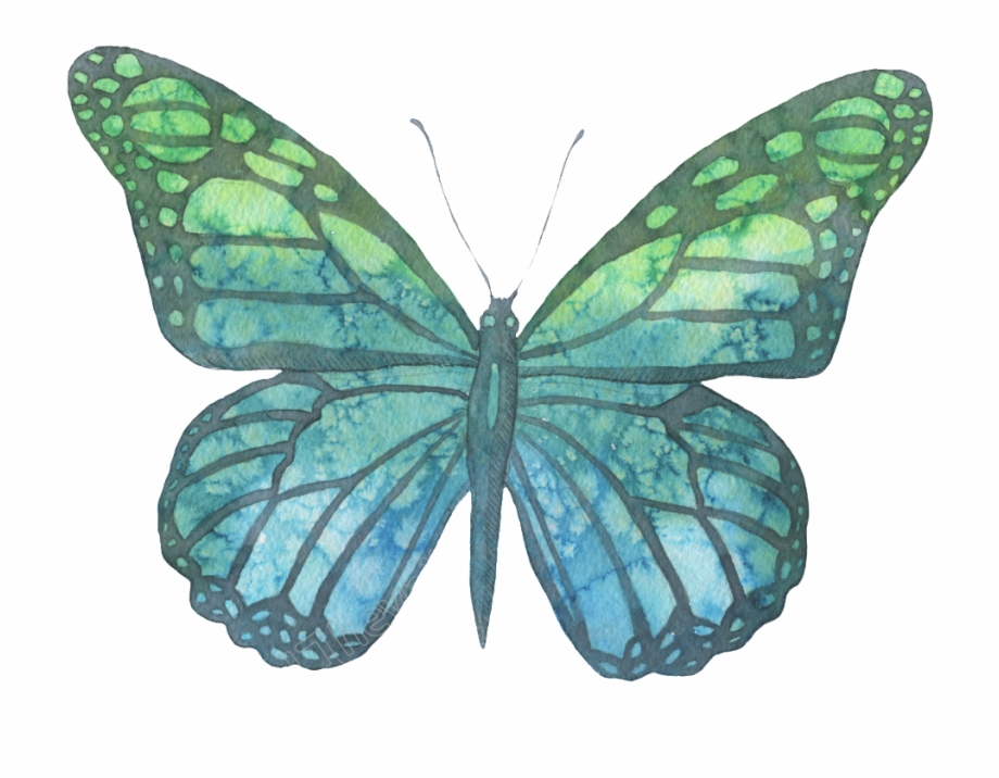 Transparent Moth Blue Green Green Watercolor Butterfly Png