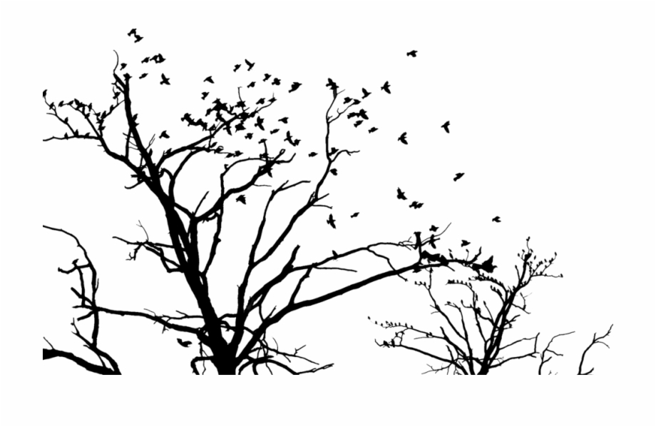 Share This Image Tree And Birds Vector