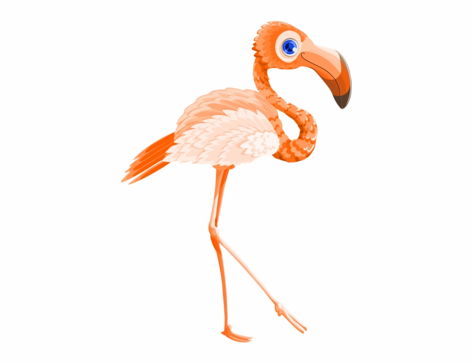 Download Flamingo Bird Vector Png Transparent Image Greater