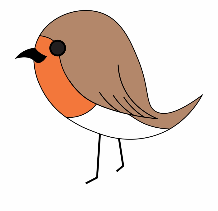 Robin Bird Vector Cartoon Robin Bird Png
