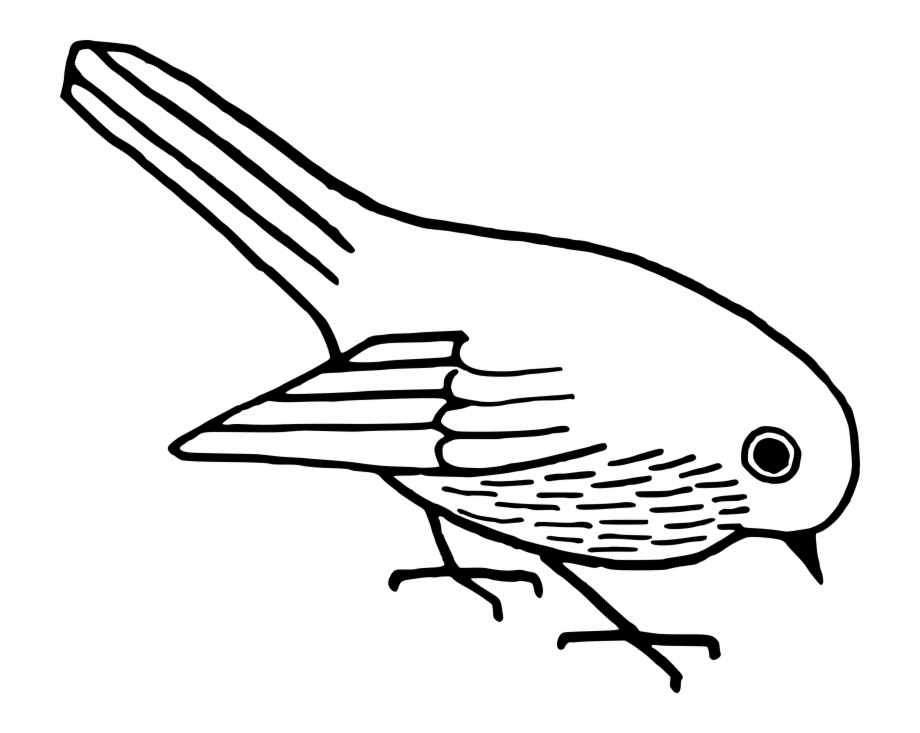 bird clipart black and white png
