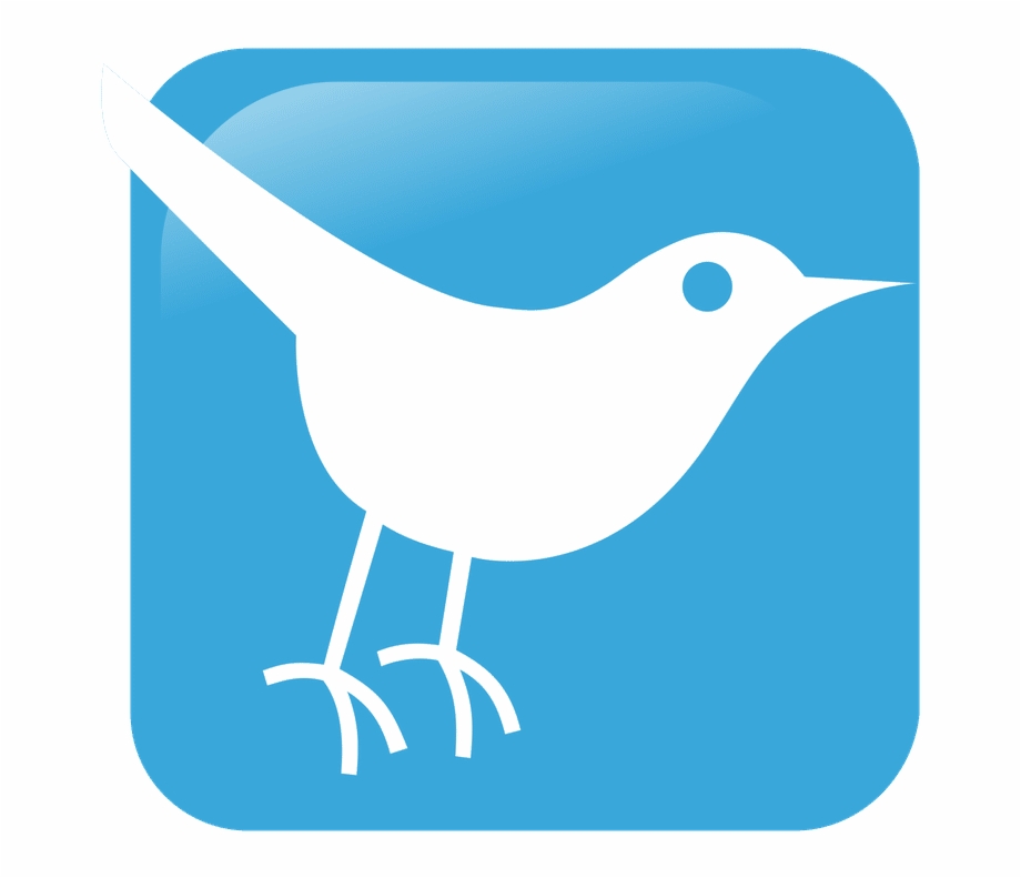 Twitter Blue Bird Icon Social Media