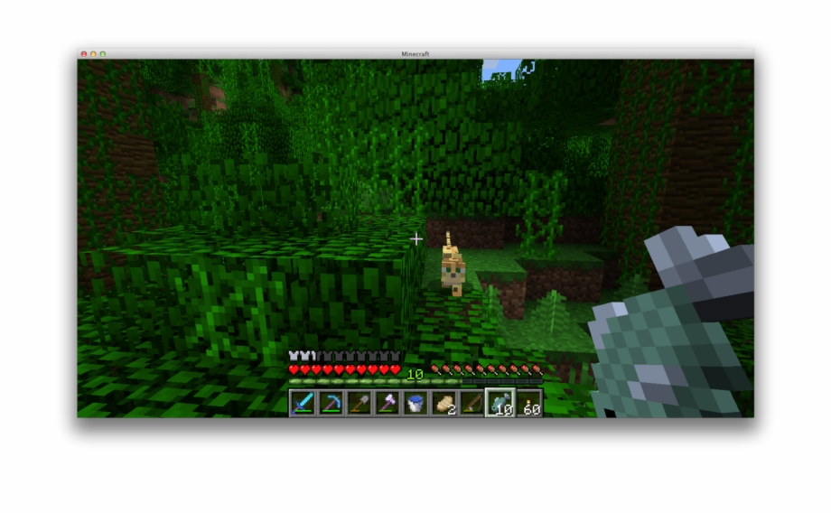 Near My House There Is A Jungle Biome