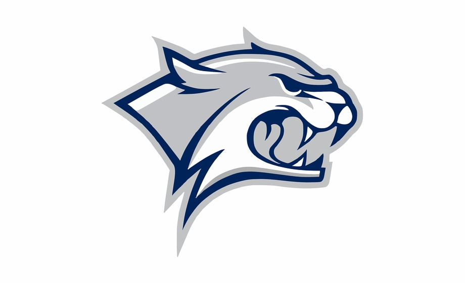 Grey Wildcat Logo Mascot Template Vector University Of