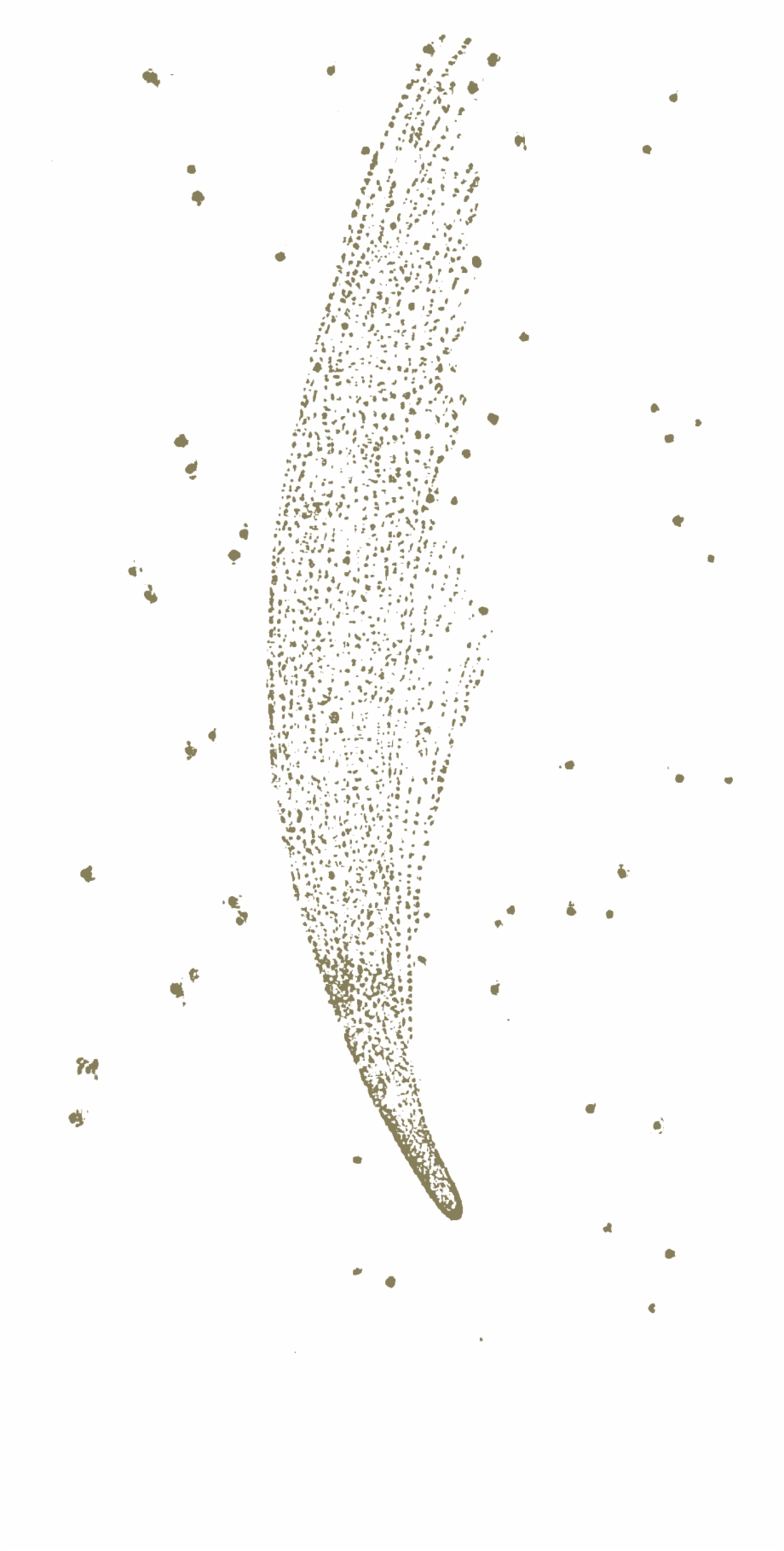 Carroll Phantasmagoria Donati Comet Illustration