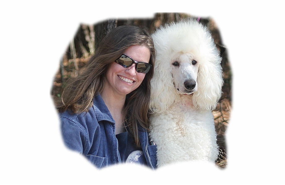 Contact Us Standard Poodle