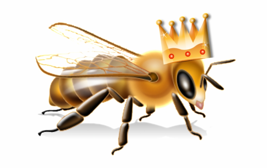 Queen Bee Epa Bee Advisory Box